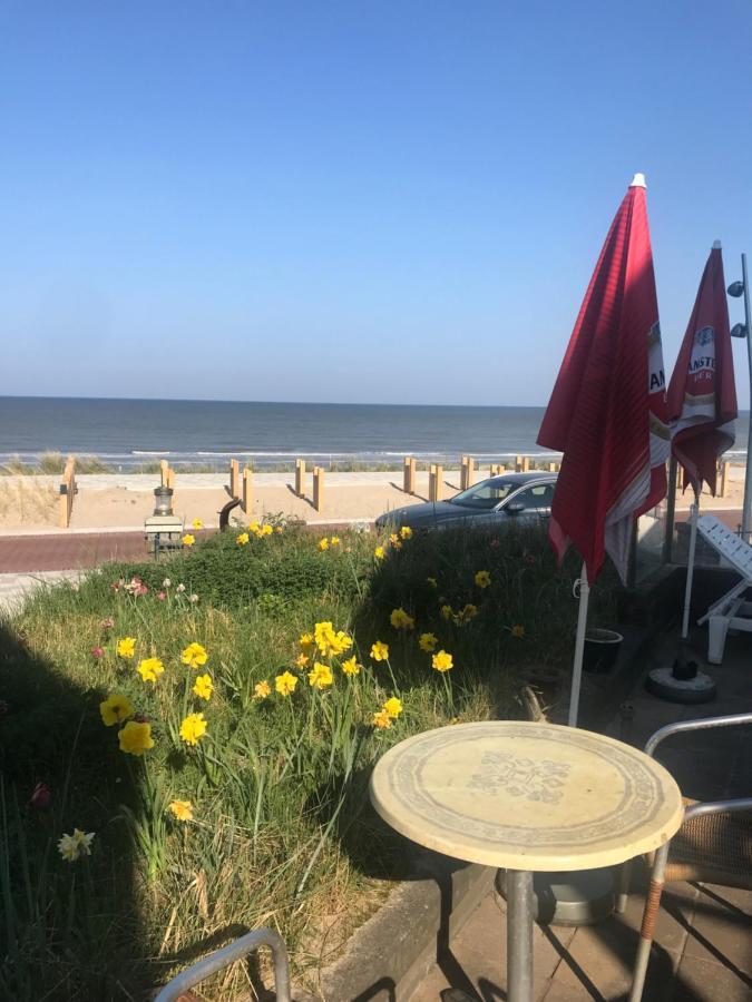 Chalet For 2 At The Beach Zandvoort Zewnętrze zdjęcie